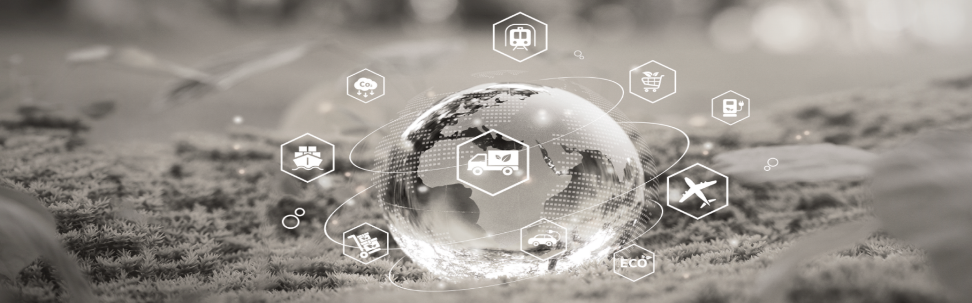 Bioenergía: La energía del futuro que proviene de la naturaleza 7 BLOGG